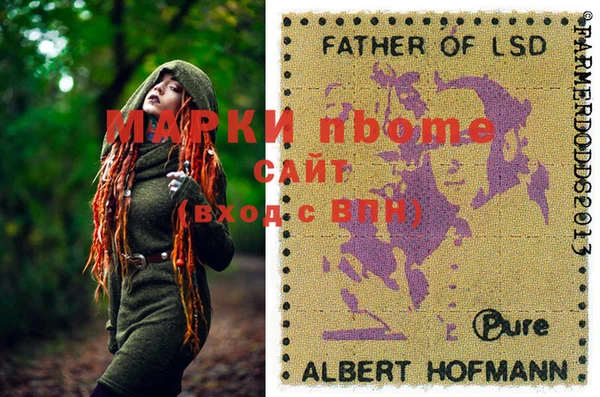МДПВ Бородино