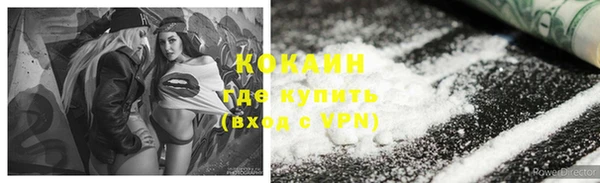 МДПВ Бородино
