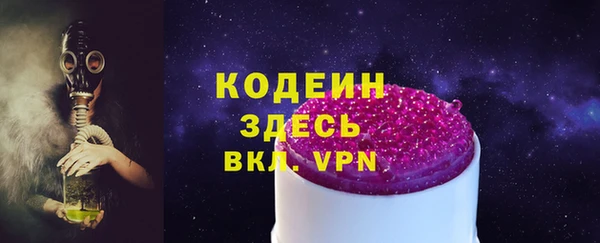 МДПВ Бородино