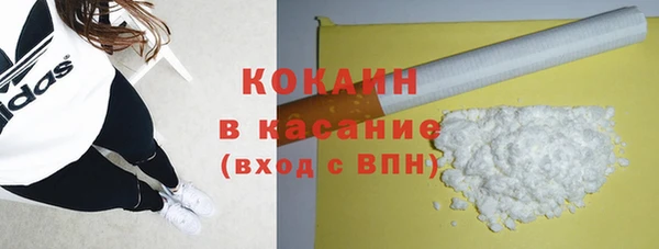 МДПВ Бородино