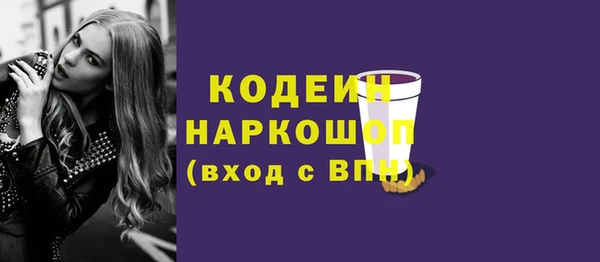 МДПВ Бородино