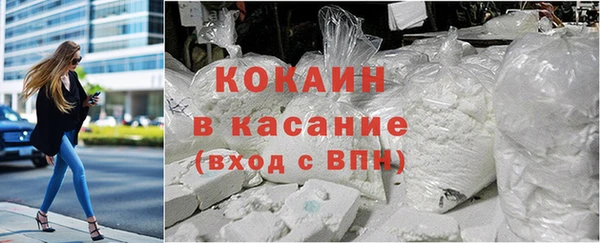 МДПВ Бородино