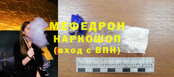 МДПВ Бородино