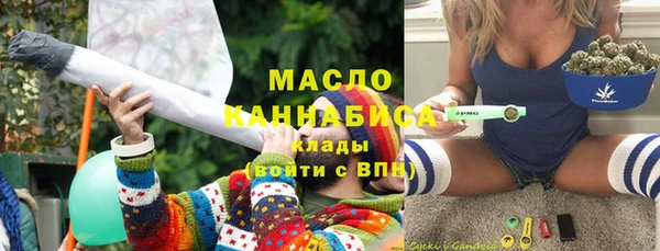 МДПВ Бородино