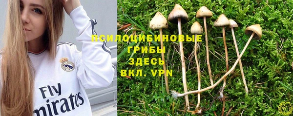 МДПВ Бородино