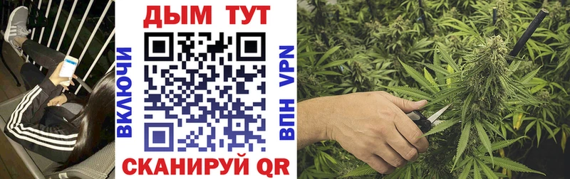 наркошоп  mega сайт  МАРИХУАНА Bruce Banner  Улан-Удэ 